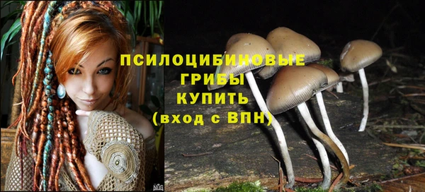 спайс Белокуриха