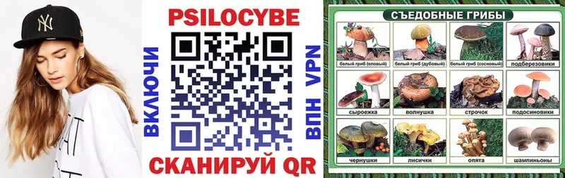 где можно купить   Полесск  Псилоцибиновые грибы мицелий 